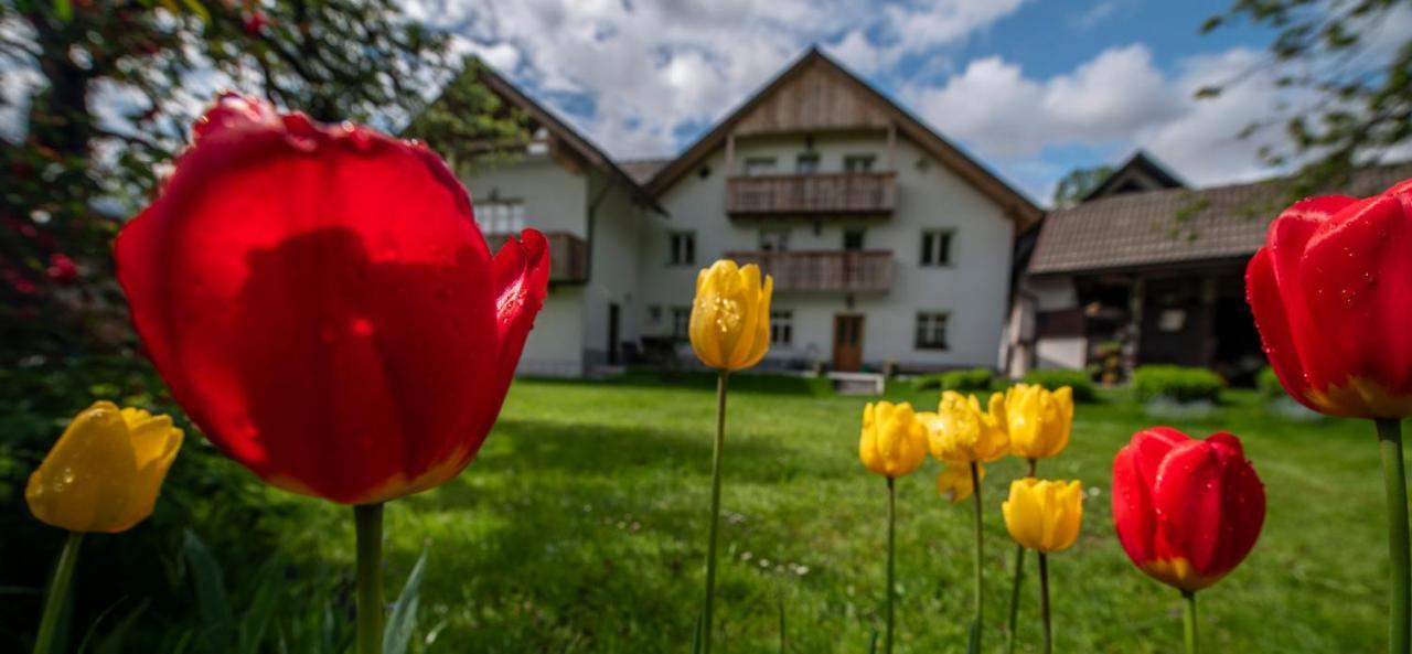 Apartma In Sobe Pr'Objan Bohinj Eksteriør billede